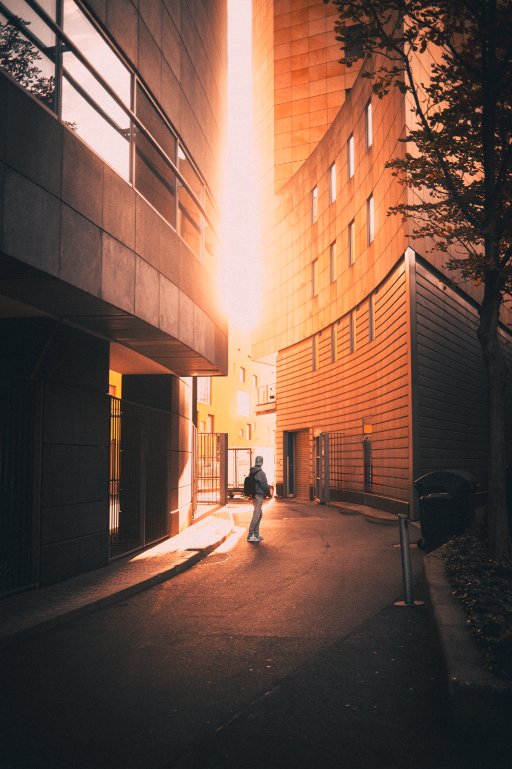 Tim Goger zur Goldenhour in Frankfurt am fotografieren