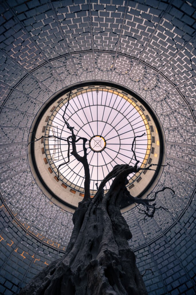 233A6397 - FineArt Prints