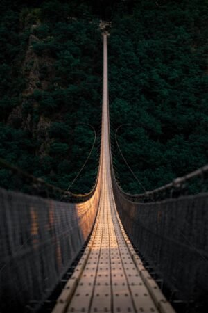 Geierlay-Symmetrie – Der endlose Pfad