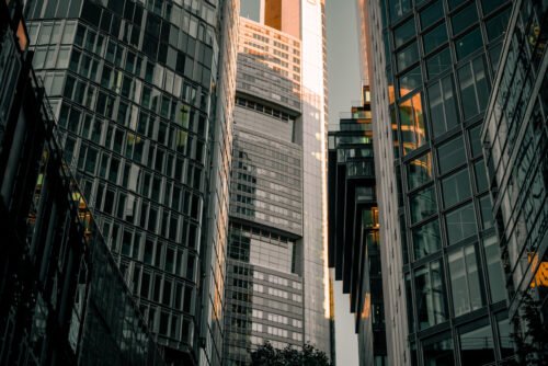 Golden Edge – Urban Jungle